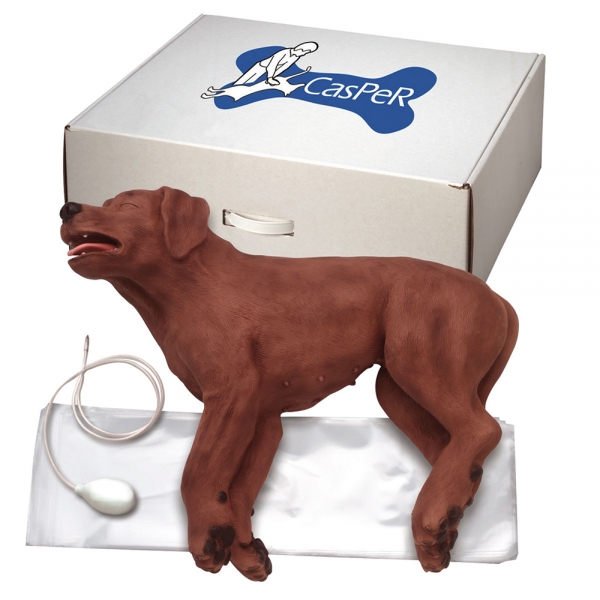 Mannequin chien CASPER pour secourisme canin [REAPPRO 24/01/2023]