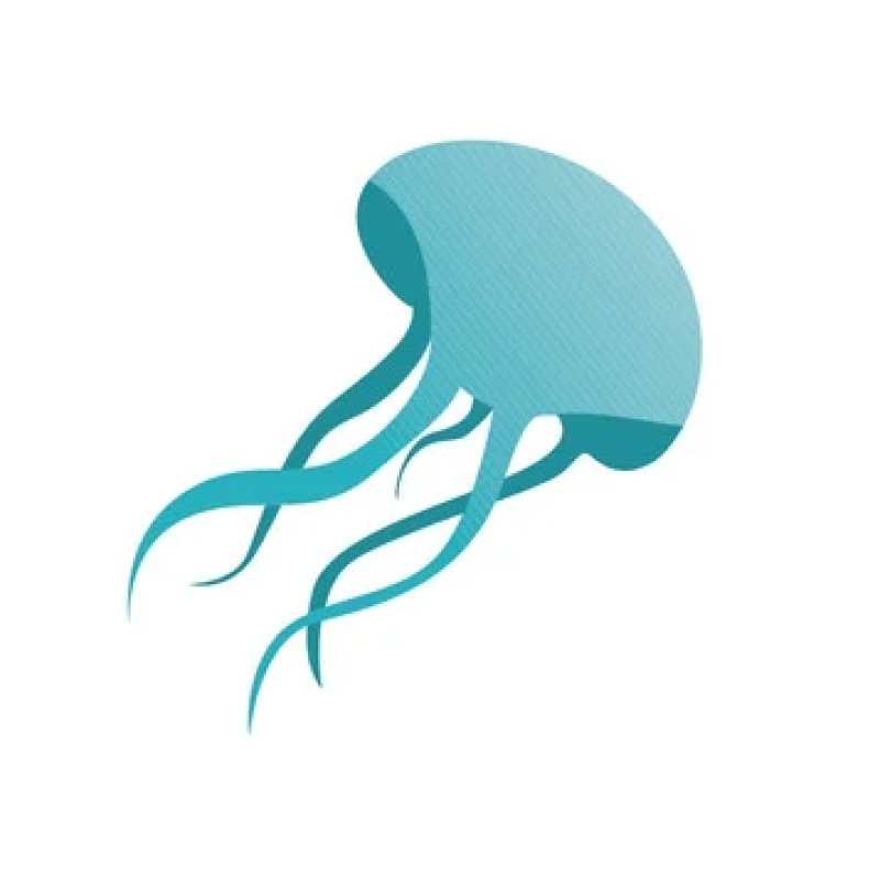 Que faire en cas de piqûre de méduse ?