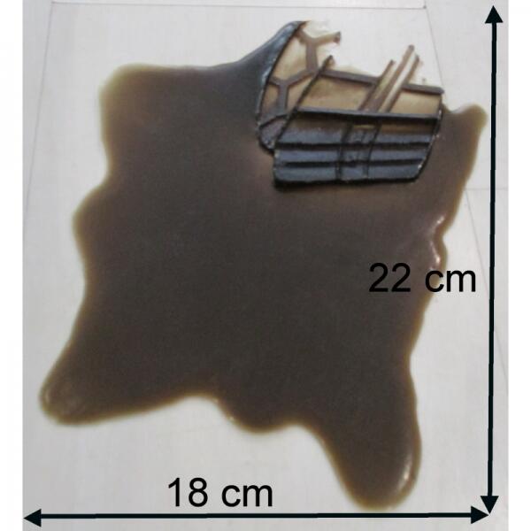 Fausse de Vidange ou de Ménage avec Trace de Pas