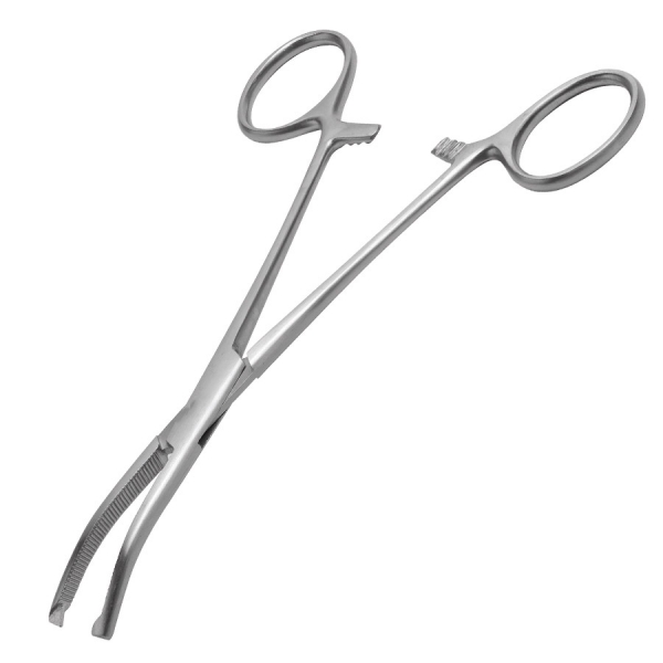 Pince Kocher Courbe avec Griffes