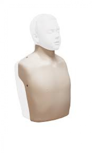 Peau de Torse pour Mannequin BRAYDEN Adulte