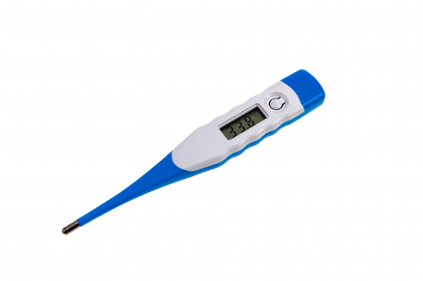 Thermomètre Digital à Embout Flexible