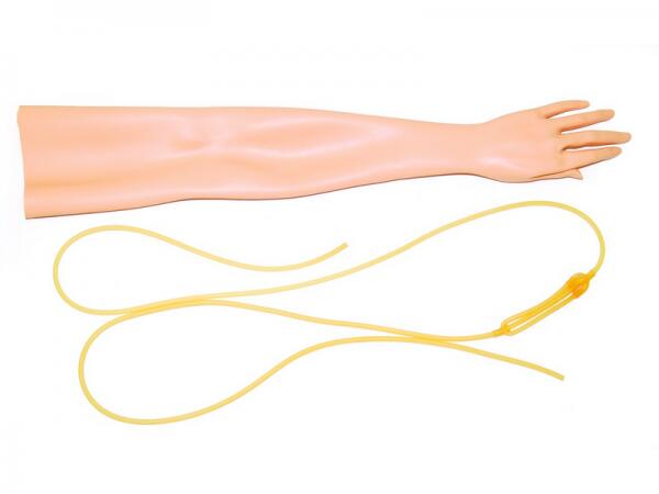 Kit Peau et Veine pour Bras de Perfusion Pas Cher