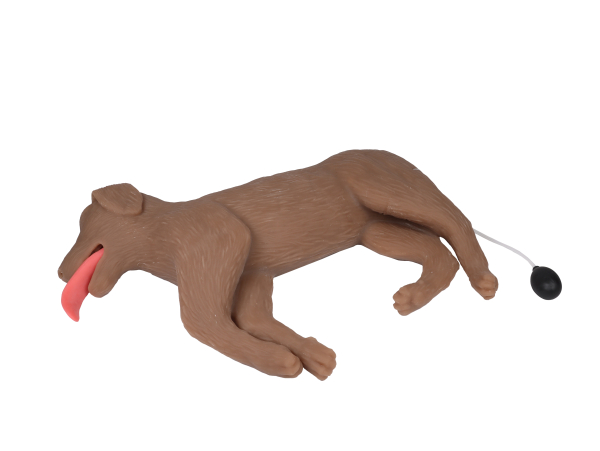 Mannequin Chien de formation - Réanimation Canine