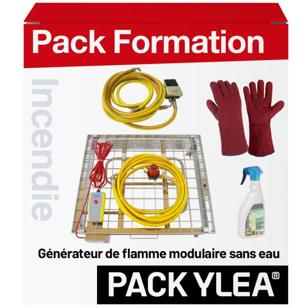 Générateur de Flamme à Gaz Sans Eau avec Gants, Pédale et Nettoyant