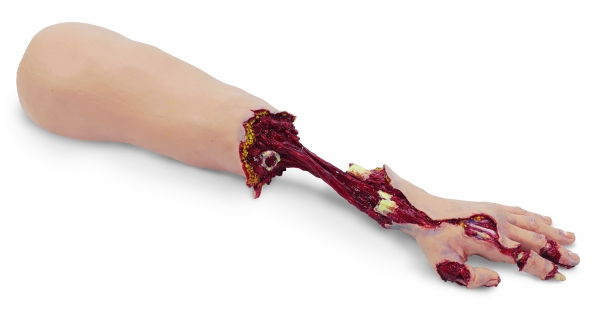 Moulage de Bras Ultra Réaliste pour Formation Aux Premiers Secours - Simulation D'hémorragie Massive