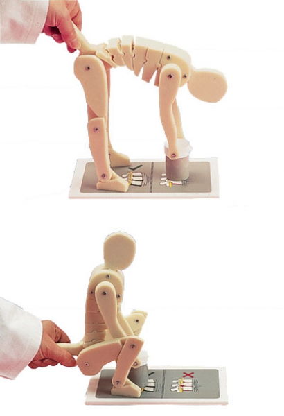 Figure de Démonstration Lever Correctement