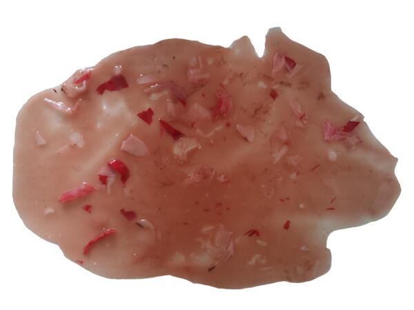 Flaque de Vomi Réaliste pour Formation Aux Premiers Secours - 100% Silicone