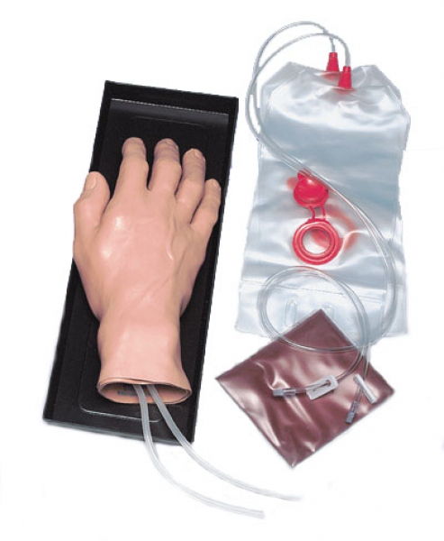 Main D'entraînement Injection IV - Simulation Réaliste pour Professionnels de Santé