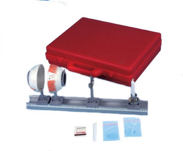 Modèle de L’œil Physique